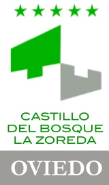 bodas en castillo del bosque la zoreda y javibodas